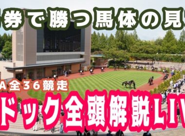 【JRAライブ】競馬記者が全レースのパドックを解説【フェブラリーステークス 2026】
