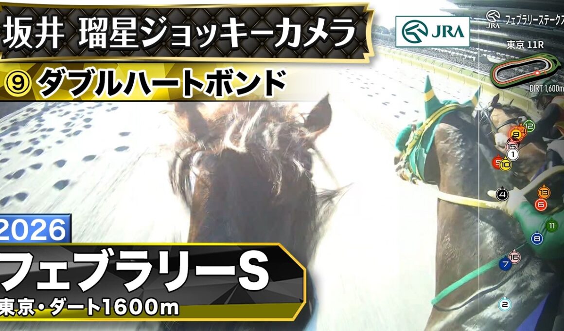 【ジョッキーカメラ】ダブルハートボンド騎乗の坂井瑠星騎手ジョッキーカメラ映像｜2026年フェブラリーステークス｜JRA公式
