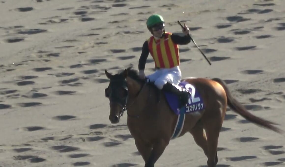 【フェブラリーステークス2026】コスタノヴァが2連覇‼ ウイニングランせずに帰ろうとする 現地映像