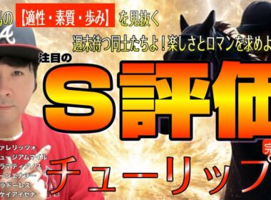 【チューリップ賞2026】桜花賞の最重要ステップが最難関トライアル！？群雄割拠の牝馬路線にアランカール、タイセイボーグらが参戦【競馬予想】
