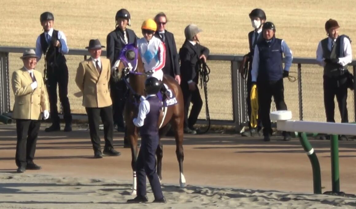 【フェブラリーステークス2026】ナチュラルライズ観客席をみつめる 本馬場入場時に誘導馬が拍手でざわつく 現地映像 コスタノヴァ