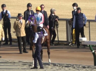 【フェブラリーステークス2026】ナチュラルライズ観客席をみつめる 本馬場入場時に誘導馬が拍手でざわつく 現地映像 コスタノヴァ