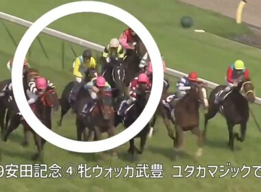 安田記念 牝馬武豊 ウォッカ連覇 ユタカマジック 2009年