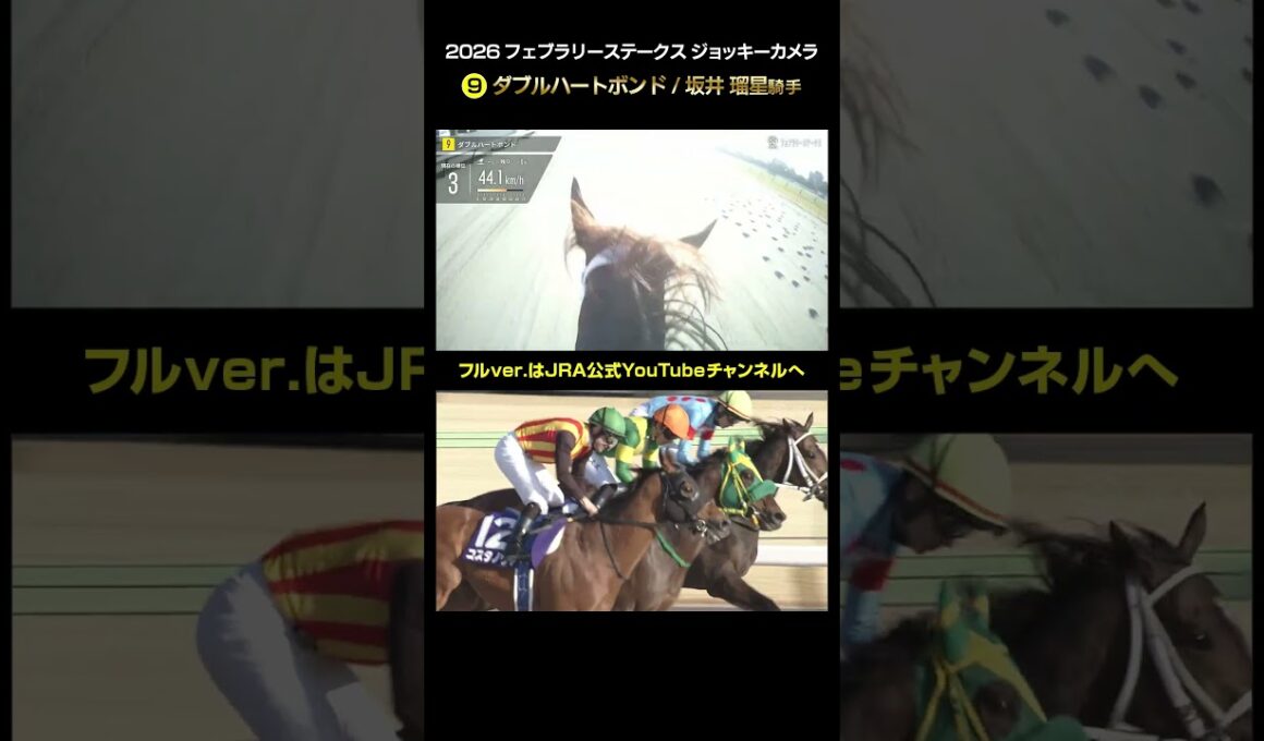 【ジョッキーカメラ×レース映像】2026年フェブラリーステークス ダブルハートボンド 坂井瑠星騎手 #shorts ｜JRA公式