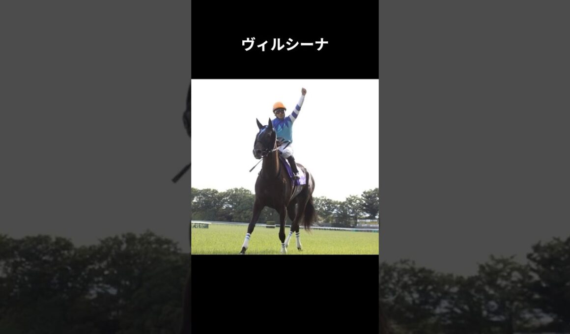 不屈の女王、再びの頂点へ #ヴィルシーナ #競馬 #shorts #ヴィクトリアマイル #ウマ娘