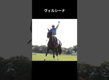 不屈の女王、再びの頂点へ #ヴィルシーナ #競馬 #shorts #ヴィクトリアマイル #ウマ娘