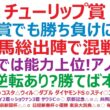 チューリップ賞2026予想　桜花賞でも勝ち負けになる！期待馬総出陣で混戦です。◎ここでは能力上位！アノ馬の！○大逆転あり！？勝てば本物です。