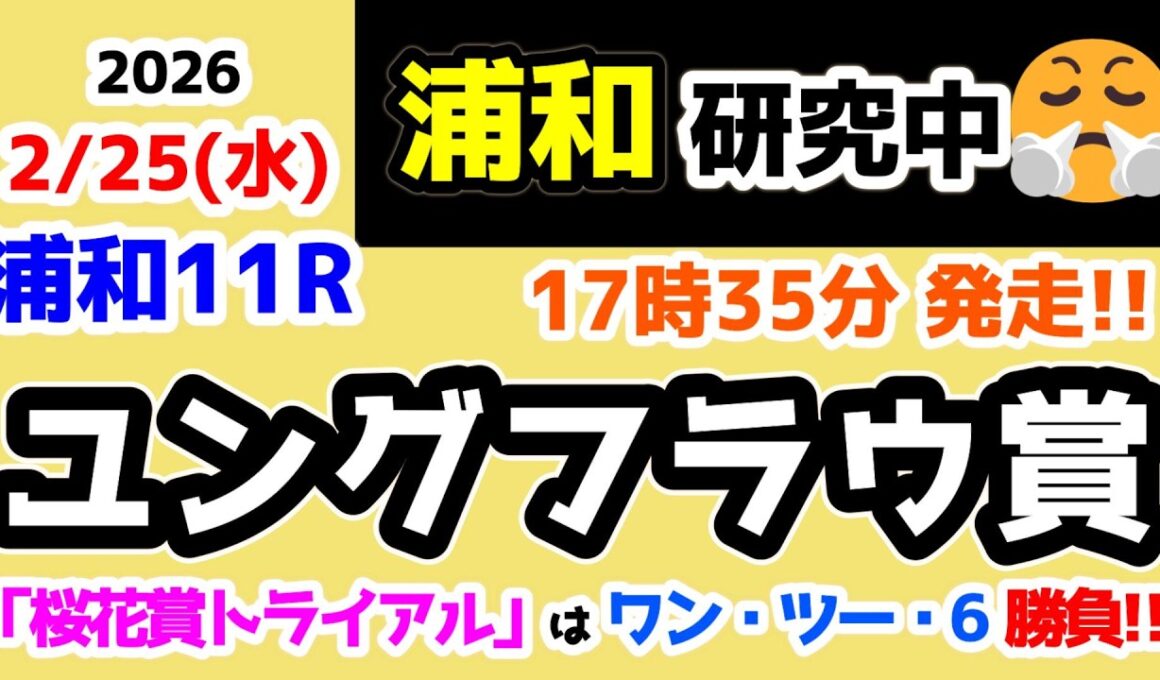 【浦和競馬研究中😏】 桜花賞トライアルは「ワン・ツー・6」勝負🔥 【2026.2.25 浦和11R ユングフラウ賞】