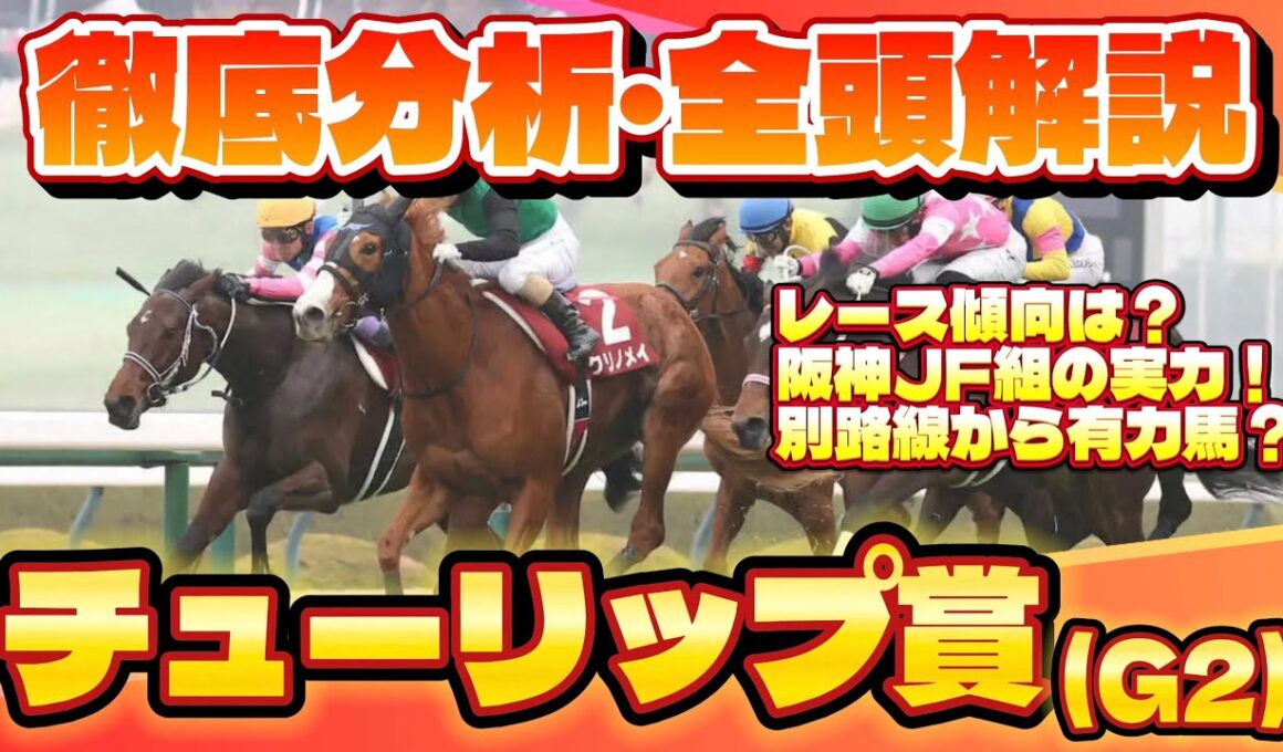 【チューリップ賞2026】徹底分析・全頭解説🔥桜花賞の前哨戦！これを見て馬券的中だ！　#チューリップ賞 #競馬 #競馬予想 #阪神競馬場 #g2 #jra #shorts
