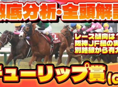 【チューリップ賞2026】徹底分析・全頭解説🔥桜花賞の前哨戦！これを見て馬券的中だ！　#チューリップ賞 #競馬 #競馬予想 #阪神競馬場 #g2 #jra #shorts