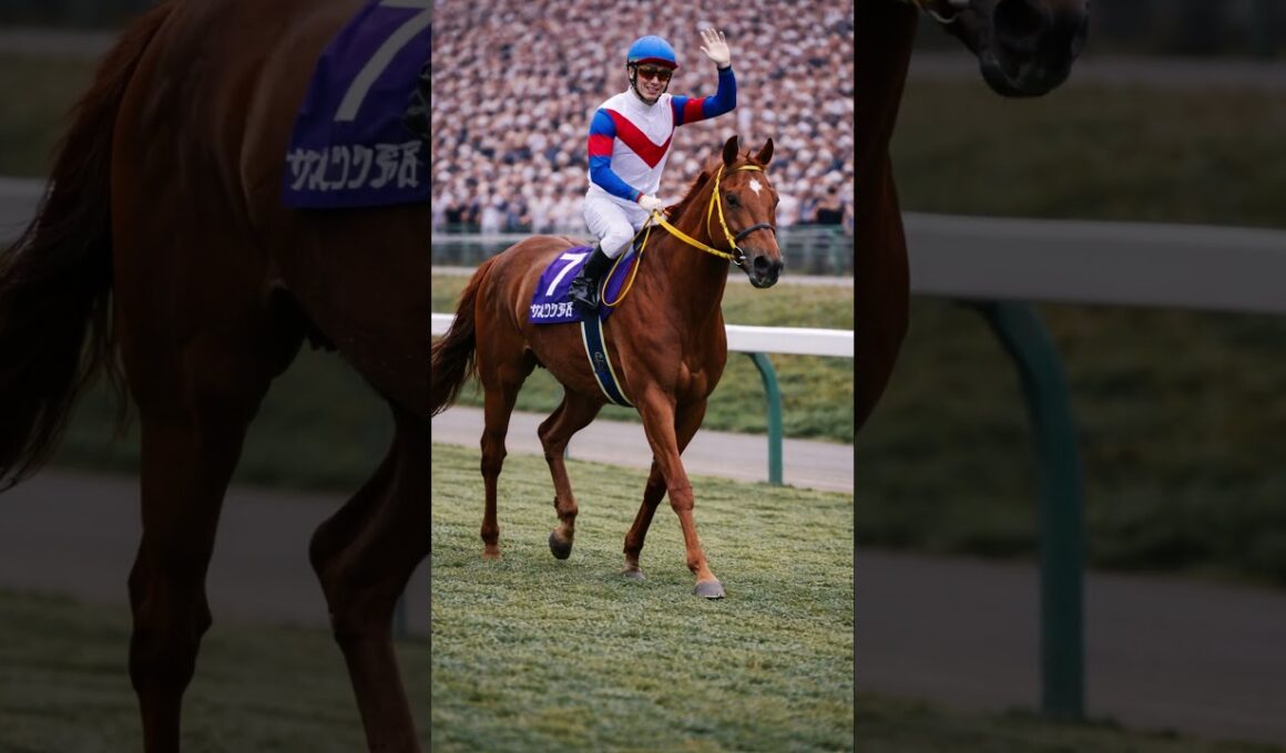 グラスワンダー 第9話｜復活の勝利#グラスワンダー#有馬記念#復活#競馬ドキュメンタリー#競馬史#JRA#競走馬#名馬