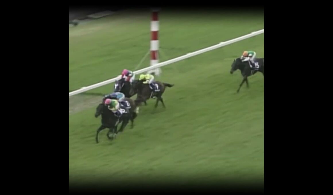 大逃げの怖さ #競馬 #天皇賞春 #横山典弘