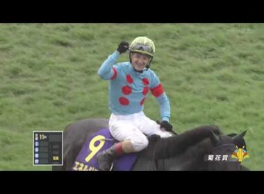 2025年菊花賞　エネルジコ