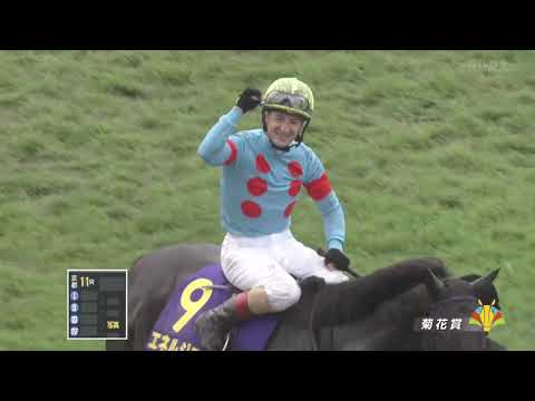 2025年菊花賞　エネルジコ