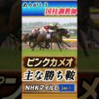 【競馬ニュース】ありがとう国枝調教師！2007年NHKマイルカップ！ピンクカメオ！#競馬 #競馬予想 #shorts #jra #ピンクカメオ #国枝調教師 #おすすめ #競走馬 #nhkマイルc