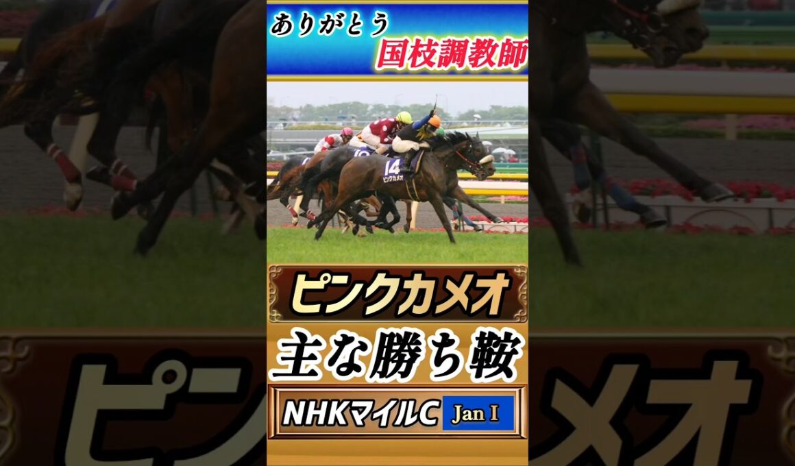 【競馬ニュース】ありがとう国枝調教師！2007年NHKマイルカップ！ピンクカメオ！#競馬 #競馬予想 #shorts #jra #ピンクカメオ #国枝調教師 #おすすめ #競走馬 #nhkマイルc