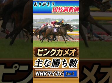 【競馬ニュース】ありがとう国枝調教師！2007年NHKマイルカップ！ピンクカメオ！#競馬 #競馬予想 #shorts #jra #ピンクカメオ #国枝調教師 #おすすめ #競走馬 #nhkマイルc