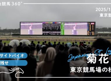 菊花賞 | 東京競馬場の様子 | 2025/10/26 | 東京競馬場