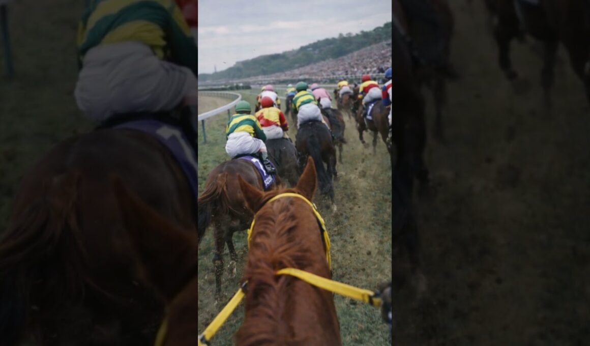 グラスワンダー 第11話｜ヒットマン#グラスワンダー#宝塚記念#スペシャルウィーク#競馬ドキュメンタリー#競馬史#JRA#競走馬#名勝負