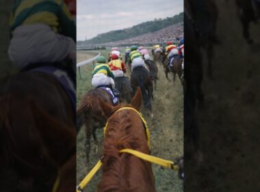 グラスワンダー 第11話｜ヒットマン#グラスワンダー#宝塚記念#スペシャルウィーク#競馬ドキュメンタリー#競馬史#JRA#競走馬#名勝負