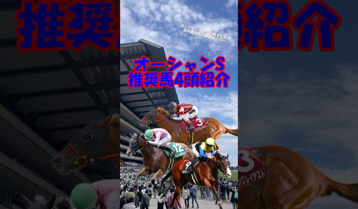 【オーシャンS2026 推奨馬を4頭紹介】高松宮記念に向けて重要な一戦!! #shorts #競馬予想 #オーシャンステークス #オーシャンs