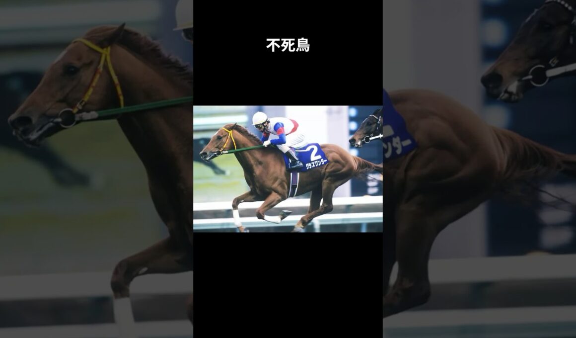 不死鳥、選ばれた夢 #グラスワンダー #競馬 #shorts #スペシャルウィーク #有馬記念 #宝塚記念 #ウマ娘
