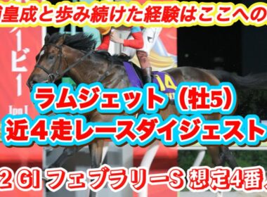 【ラムジェット】GIフェブラリーS想定4番人気！三浦皇成と悲願の中央GI取りへ！近4走レースダイジェスト