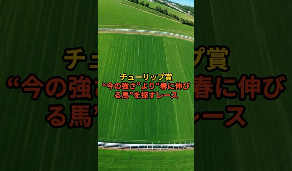 【チューリップ賞2026】桜花賞へ直結｜外せない5頭#チューリップ賞#チューリップ賞2026#阪神芝1600#桜花賞トライアル#3歳牝馬#クラシック路線#競馬予想#血統分析#重賞予想