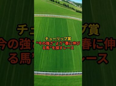 【チューリップ賞2026】桜花賞へ直結｜外せない5頭#チューリップ賞#チューリップ賞2026#阪神芝1600#桜花賞トライアル#3歳牝馬#クラシック路線#競馬予想#血統分析#重賞予想