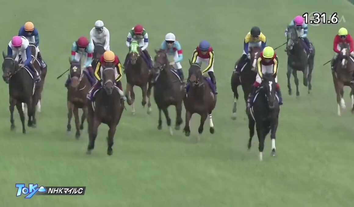 2021年 第26回 NHKマイルカップ(G1)(シュネルマイスター、C.ルメール)