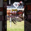 第33回チューリップ賞の注目馬はこの馬！桜花賞へステップアップ #shorts  #武豊 #桜花賞  #アランカール #タイセイボーグ
