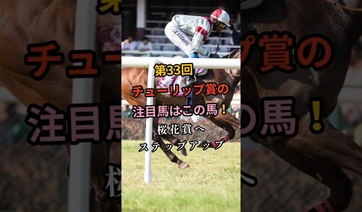 第33回チューリップ賞の注目馬はこの馬！桜花賞へステップアップ #shorts  #武豊 #桜花賞  #アランカール #タイセイボーグ