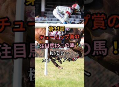 第33回チューリップ賞の注目馬はこの馬！桜花賞へステップアップ #shorts  #武豊 #桜花賞  #アランカール #タイセイボーグ