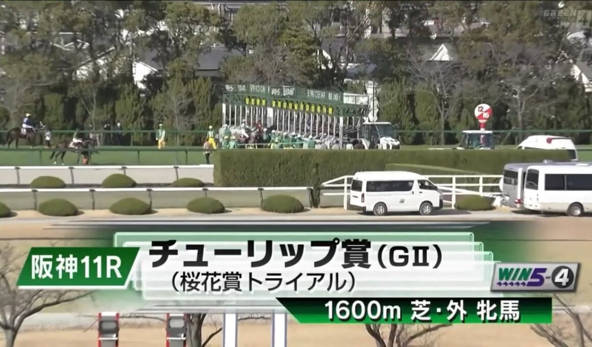 阪神11R 第33回チューリップ賞（GⅡ） 〈桜花賞トライアル〉