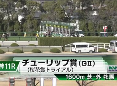 阪神11R 第33回チューリップ賞（GⅡ） 〈桜花賞トライアル〉