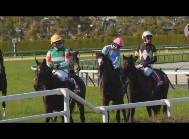 【武豊】3着？4着？どっちだ⁉︎桜花賞へ 絶望的な位置から鋭く伸びる！