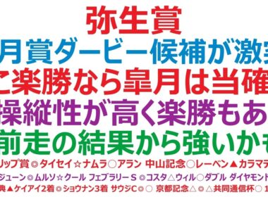 弥生賞ディープ記念2026予想　皐月賞、ダービー候補が激突！ここ楽勝なら皐月賞は当確！？◎操縦性が高く、楽勝もある！○前走の結果から、かなり強いかも！