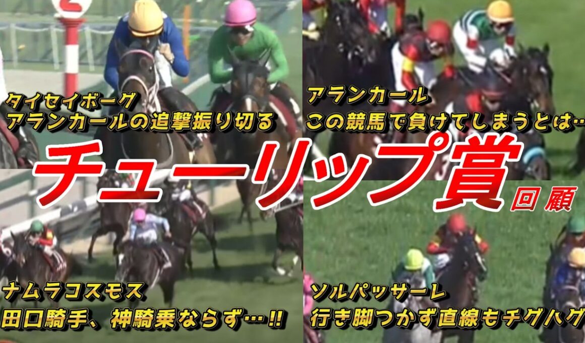 タイセイボーグの桜花賞期待度は！？　アランカール武騎手の競馬をどう見る！？　【チューリップ賞2026 回顧】元馬術選手のコラム