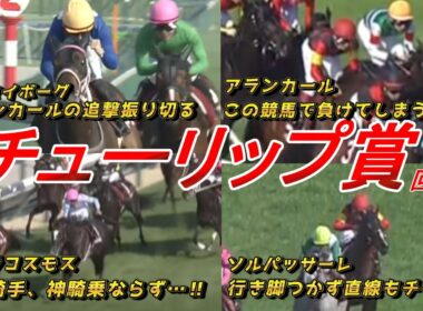 タイセイボーグの桜花賞期待度は！？　アランカール武騎手の競馬をどう見る！？　【チューリップ賞2026 回顧】元馬術選手のコラム