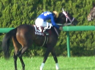 【チューリップ賞2026】桜花賞への出走を決め鞍上の西村騎手が⑬タイセイボーグを称える ウイニングラン 現地映像