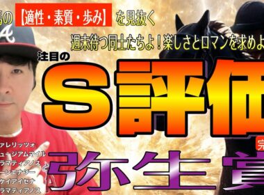 【弥生賞2026】皐月賞へ本格派VSマイラー気質馬の対決だ！パントルナイーフ、アドマイヤクワッズ、ライヒスアドラーら素質馬が対決【競馬予想】