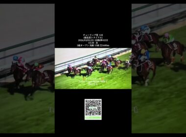 チューリップ賞 GⅡ(桜花賞トライアル)2026/03/01(日) #競馬  #差し馬の美学 #チューリップ賞2026