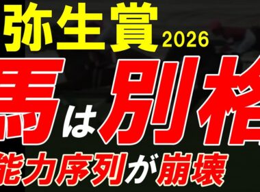 弥生賞ディープインパクト記念2026全頭診断｜能力序列が崩壊…それでも“別格”の1頭は揺るがない【弥生賞2026一週前競馬予想】