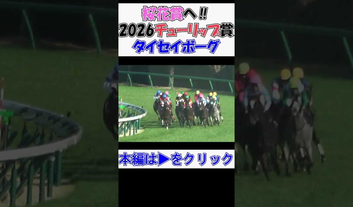 #チューリップ賞2026 #桜花賞 への出走を決めた#タイセイボーグ ‼ 現地映像