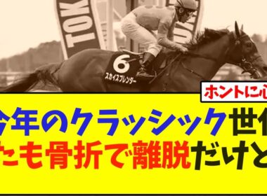 今年のクラッシック世代、またも骨折で離脱だけど…【競馬】