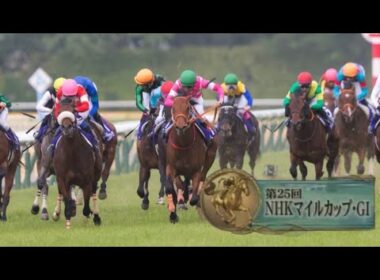 2020年第25回NHKマイルカップ(G1)本馬場入場