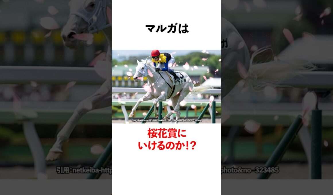 マルガは桜花賞に行けるのか？