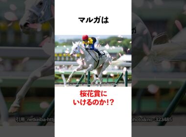 マルガは桜花賞に行けるのか？