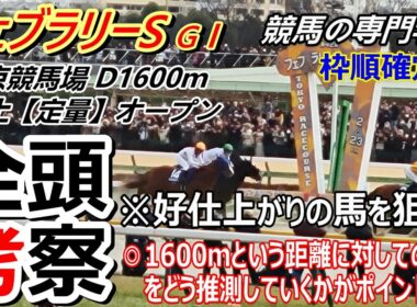 【フェブラリーS2026】全頭考察 1600ｍが向きそうな馬を上位の評価