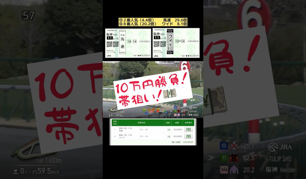 【一点予想10万円勝負！】激アツ#チューリップ賞#競馬 #桜花賞 #穴狙い